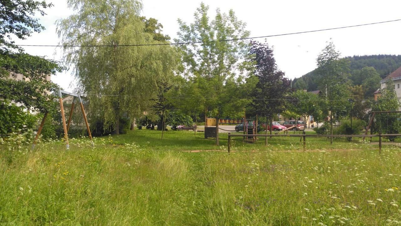 Ubytovani U Svecu U Adrspachu Jívka 外观 照片